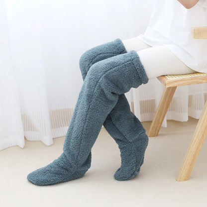 TeddySocks 🧸