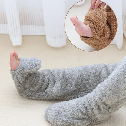 TeddySocks 🧸