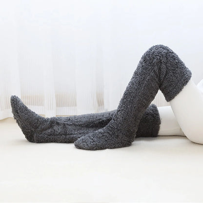 TeddySocks 🧸